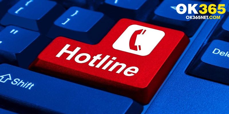 Hotline là cách liên hệ OK365 nhanh nhất